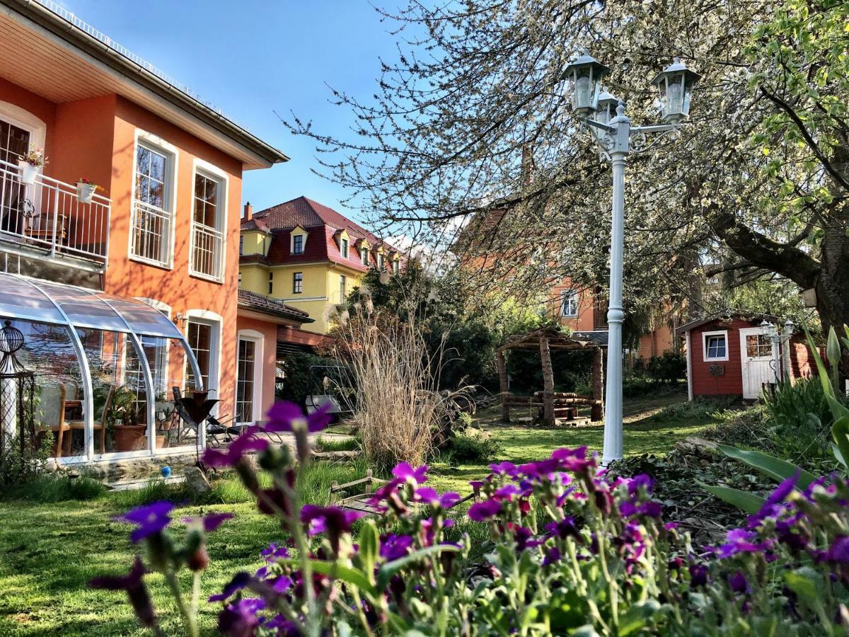Zentrumsnahe Ferienwohnung Dresde Exterior foto